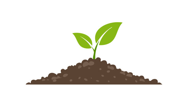 Simple illustration of a seedling in brown soil, showing growth, sustainability, gardening