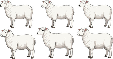 Sheep illustration, stylized farm animal, wool texture, livestock art, blue outline, cartoon sheep, cute drawing, side profile, stock vector, adorable sheep