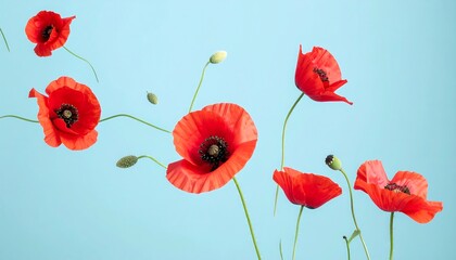 Obraz premium Vibrant red poppies gently floating against a soft teal background. A delicate floral arrangement