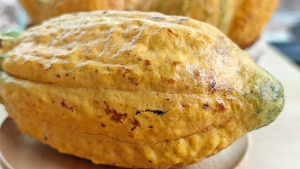 Close up Ripe yellow cocoa pod in a plate
