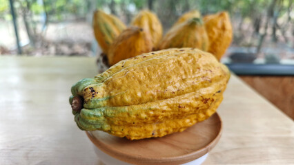 Close up Ripe yellow cocoa pod in a plate