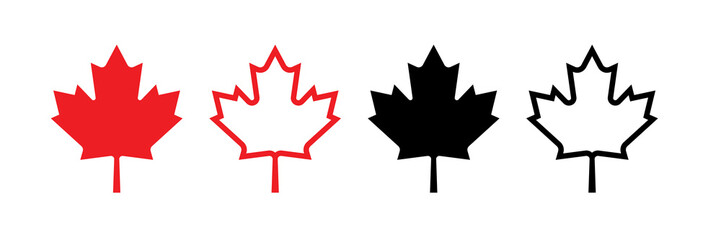 Maple leaf isolated on transparent or white background