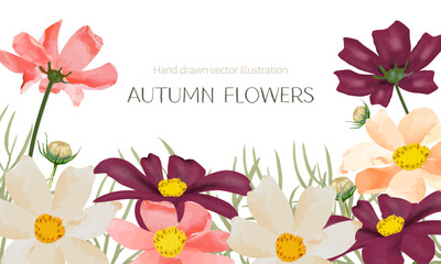 水彩で描いたコスモスのフレーム