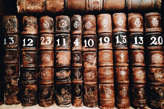 Row of aged leather-bound books with numbered spines