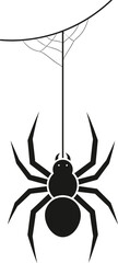 Black Spider Hanging from Web Illustration