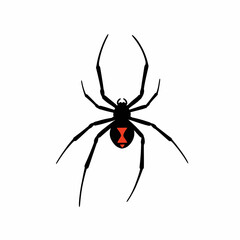 Black Widow Spider Illustration on White Background