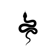 Black Snake Silhouette on White Background