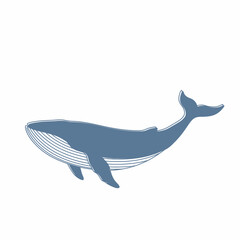 Blue Whale Illustration Minimalist Line Art Design