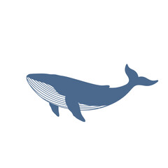 Blue Whale Illustration Minimalist Ocean Animal Design