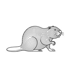 Detailed Line Art Illustration of a Beaver