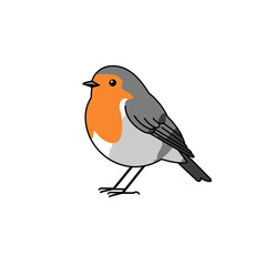 Gray and Orange Robin Bird Illustration