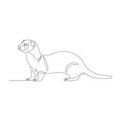 Gray Ferret Continuous Line Drawing Illustration