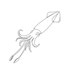 Gray Scale Line Drawing Of A Squid On White Background