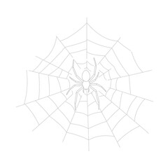 Gray Spider in Detailed Web on White Background