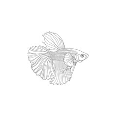 GrayScale Betta Fish Line Art Illustration