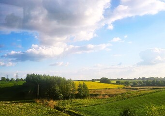 rural landscape with yellow field and blue sky