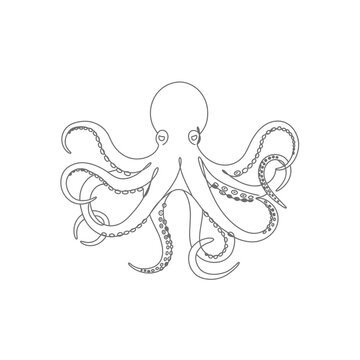 Grey Line Art Octopus Illustration on White Background
