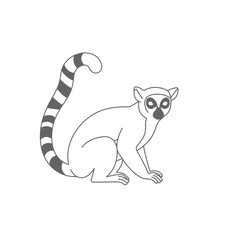 Obraz premium Grey Ringtailed Lemur Illustration