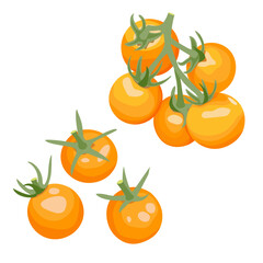 Sun Sugar Tomato, Cherry Tomato, Yellow Tomato, Orange Tomato, Hand Drawn, Vector, Illustration, Set, Isolated