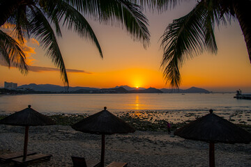Beach daybed and the palm trees at Dadonghai beach, Sanya, China, background image with copy space, vertical image