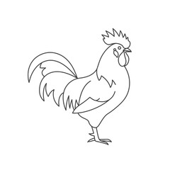 Line Art Rooster Illustration on White Background
