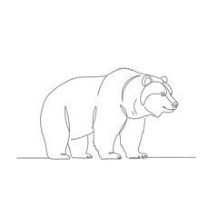 One Line Drawing Of A Grizzly Bear On White Background