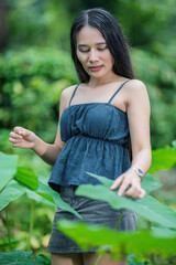 Fototapeta premium Young Woman Exploring Lush Nature in Serene Forest Setting