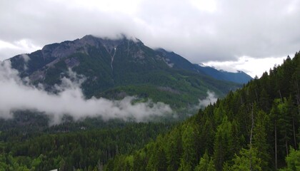 Fototapeta premium Misty mountain vista, lush green valley, dense evergreen forest