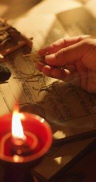 Compendium of Materia Medica of Traditional Chinese Medicine
