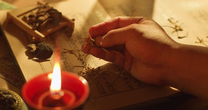 Compendium of Materia Medica of Traditional Chinese Medicine
