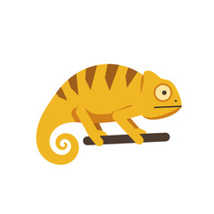 Fototapeta premium A yellow chameleon with brown stripes clinging to a brown branch against a white background.