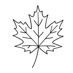 Hand Drawn Maple Leaf hand drawn new style Vector Image