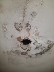 mold growth on ceiling. water leak damaged ceiling.