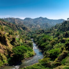 High Angle View Of River Winding Through Lush Tropical Valley