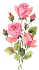 Fototapeta premium High definition romantic love rose illustration