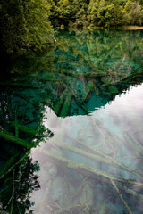 reflection in the water,Jiuzhaigou