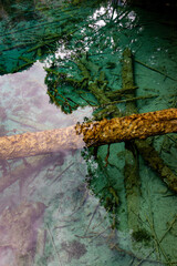 water in the pool,Jiuzhaigou