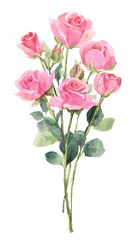 Fototapeta premium High definition romantic love rose illustration