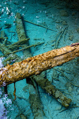 green water surface,Jiuzhaigou