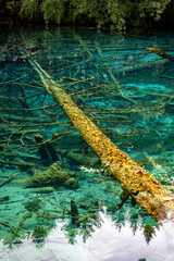 green water surface,Jiuzhaigou