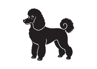 poodle dog silhouette vector illustration isolated on white background for pet and animal design.