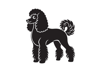 poodle dog silhouette vector illustration isolated on white background for pet and animal design.