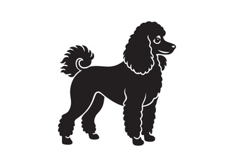 poodle silhouette vector design isolated on white background, pet breed illustration.