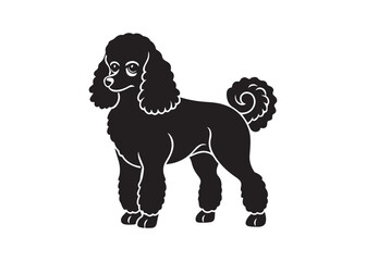 poodle dog silhouette vector illustration isolated on white background for pet and animal design.