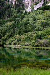 river in the forest,Jiuzhaigou