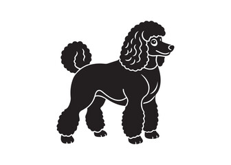 poodle silhouette vector design isolated on white background, pet breed illustration.