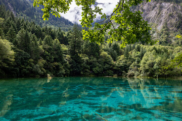 lake in the forest,Jiuzhaigou
