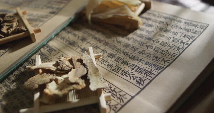 
Traditional Chinese medicine herbs: burdock root, gastrodia elata, angelica sinensis