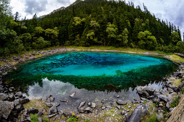 lake in the forest,Jiuzhaigou