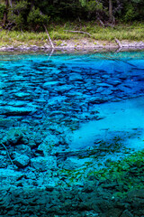 blue water in the forest,Jiuzhaigou